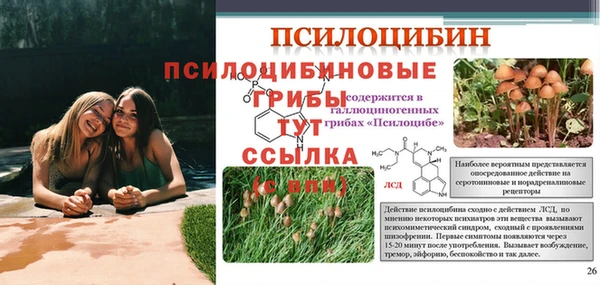 меф Абдулино