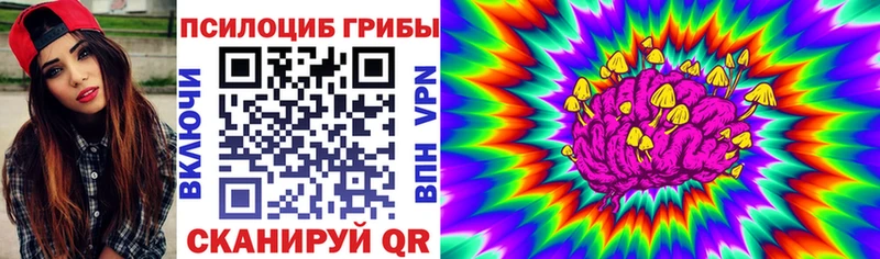 Псилоцибиновые грибы прущие грибы  hydra ТОР  Усть-Катав 